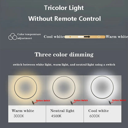 Myluminum Orbit Tricolor Wall Sconce